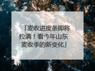 麦收进度条即将拉满！看今年山东麦收季的新变化