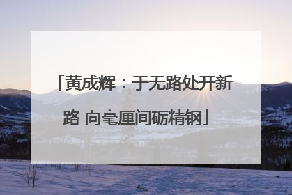 黄成辉：于无路处开新路 向毫厘间砺精钢