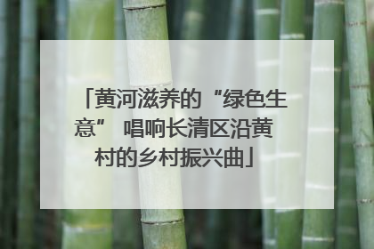 黄河滋养的“绿色生意” 唱响长清区沿黄村的乡村振兴曲