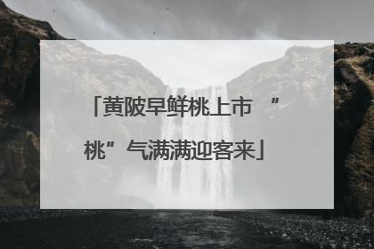 黄陂早鲜桃上市 “桃”气满满迎客来