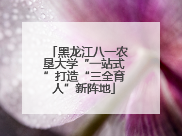 黑龙江八一农垦大学“一站式”打造“三全育人”新阵地