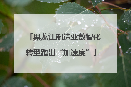 黑龙江制造业数智化转型跑出“加速度”