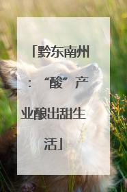 黔东南州：“酸”产业酿出甜生活