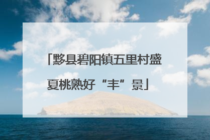 黟县碧阳镇五里村盛夏桃熟好“丰”景