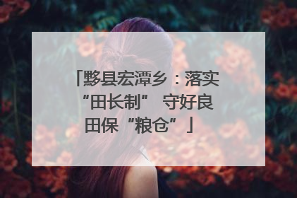 黟县宏潭乡：落实“田长制” 守好良田保“粮仓”