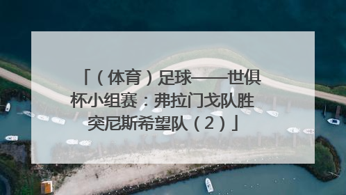 （体育）足球——世俱杯小组赛：弗拉门戈队胜突尼斯希望队（2）
