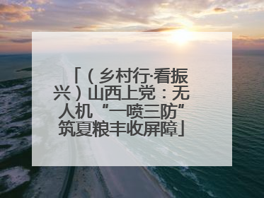 （乡村行·看振兴）山西上党：无人机“一喷三防”筑夏粮丰收屏障