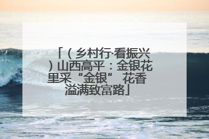 （乡村行·看振兴）山西高平：金银花里采“金银” 花香溢满致富路