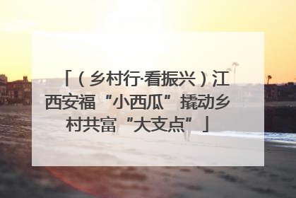 （乡村行·看振兴）江西安福“小西瓜”撬动乡村共富“大支点”