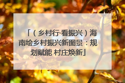 （乡村行·看振兴）海南绘乡村振兴新图景：规划赋能 村庄焕新