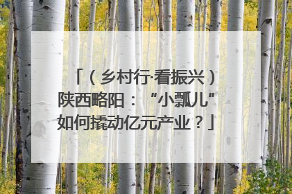 （乡村行·看振兴）陕西略阳：“小瓢儿”如何撬动亿元产业？