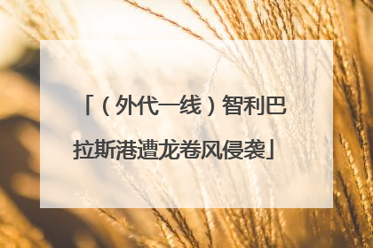 （外代一线）智利巴拉斯港遭龙卷风侵袭