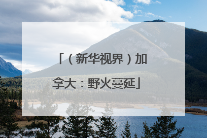（新华视界）加拿大：野火蔓延