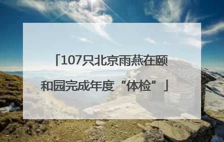 107只北京雨燕在颐和园完成年度“体检”