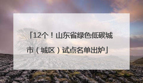 12个！山东省绿色低碳城市（城区）试点名单出炉
