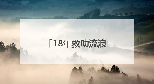 18年救助流浪猫近千只！冰城蔡大姐的猫咪情缘