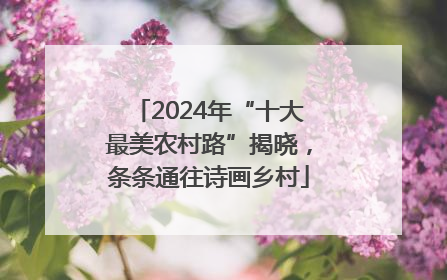 2024年“十大最美农村路”揭晓，条条通往诗画乡村
