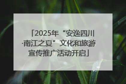 2025年“安逸四川·南江之夏”文化和旅游宣传推广活动开启