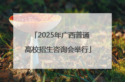 2025年广西普通高校招生咨询会举行