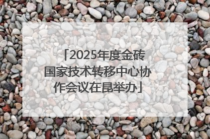 2025年度金砖国家技术转移中心协作会议在昆举办