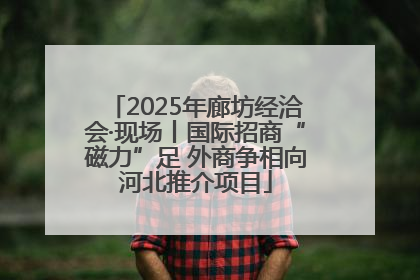 2025年廊坊经洽会·现场丨国际招商“磁力”足 外商争相向河北推介项目