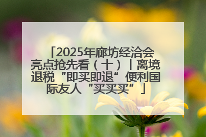 2025年廊坊经洽会亮点抢先看（十）丨离境退税“即买即退”便利国际友人“买买买”
