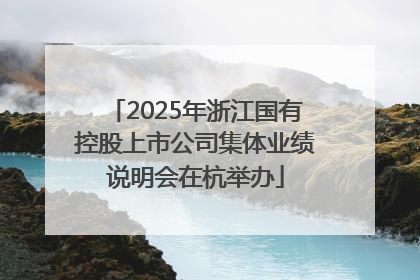 2025年浙江国有控股上市公司集体业绩说明会在杭举办