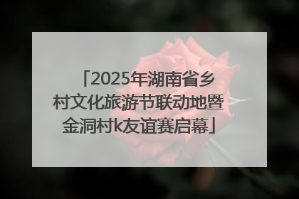 2025年湖南省乡村文化旅游节联动地暨金洞村k友谊赛启幕