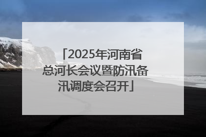 2025年河南省总河长会议暨防汛备汛调度会召开
