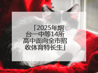 2025年烟台一中等14所高中面向全市招收体育特长生