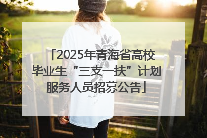 2025年青海省高校毕业生“三支一扶”计划服务人员招募公告