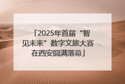 2025年首届“智见未来”数字文旅大赛在西安圆满落幕