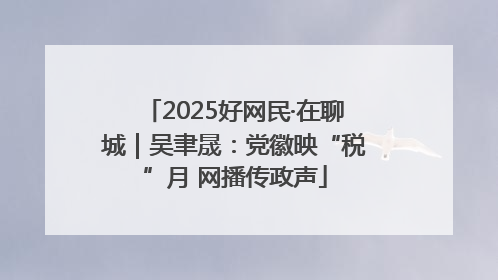 2025好网民·在聊城｜吴聿晟：党徽映“税”月 网播传政声