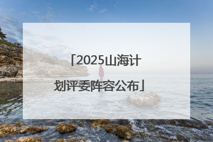 2025山海计划评委阵容公布