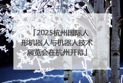 2025杭州国际人形机器人与机器人技术展览会在杭州开幕