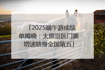 2025端午游成绩单揭晓：太原景区门票增速跻身全国第五