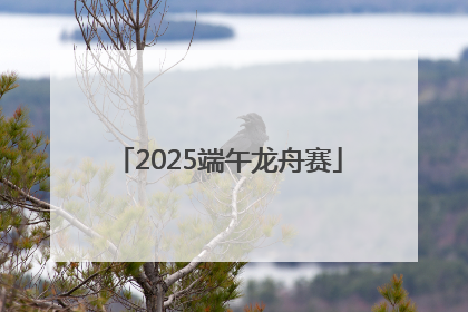 2025端午龙舟赛