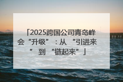 2025跨国公司青岛峰会“升级”：从 “引进来” 到 “链起来”
