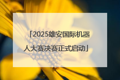 2025雄安国际机器人大赛决赛正式启动
