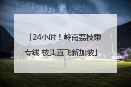 24小时！岭南荔枝乘专线 枝头直飞新加坡