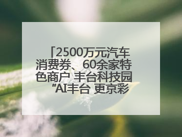 2500万元汽车消费券、60余家特色商户 丰台科技园“AI丰台 更京彩”未来玩家市集活动正式开幕