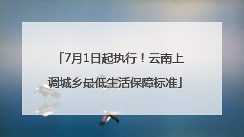 7月1日起执行！云南上调城乡最低生活保障标准