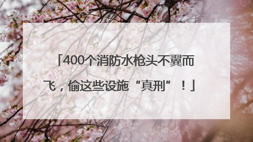 400个消防水枪头不翼而飞，偷这些设施“真刑”！