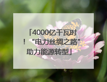 4000亿千瓦时！“电力丝绸之路”助力能源转型