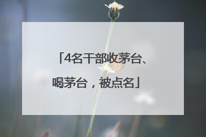 4名干部收茅台、喝茅台，被点名
