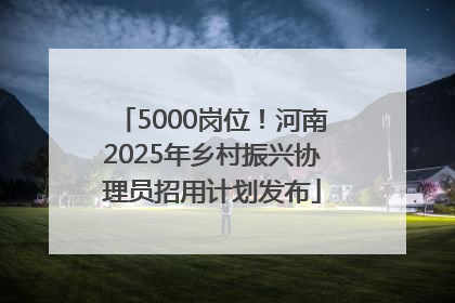 5000岗位！河南2025年乡村振兴协理员招用计划发布