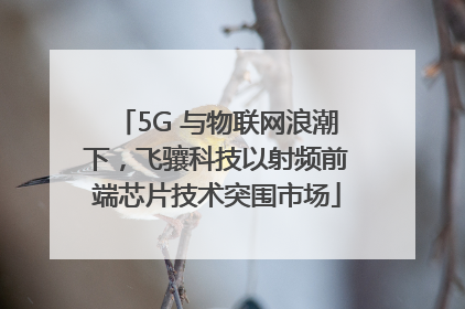 5G 与物联网浪潮下，飞骧科技以射频前端芯片技术突围市场