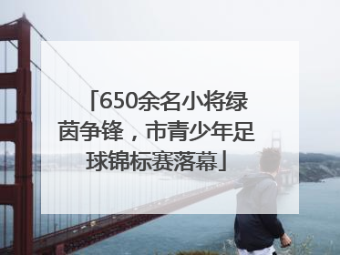 650余名小将绿茵争锋，市青少年足球锦标赛落幕