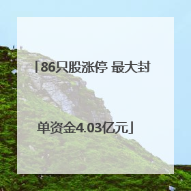 86只股涨停 最大封单资金4.03亿元