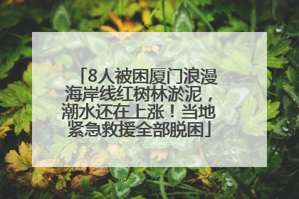 8人被困厦门浪漫海岸线红树林淤泥，潮水还在上涨！当地紧急救援全部脱困